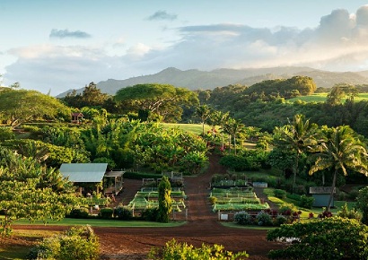 Ý tưởng thiết kế khu nghỉ dưỡng kết hợp farmstay dược liệu