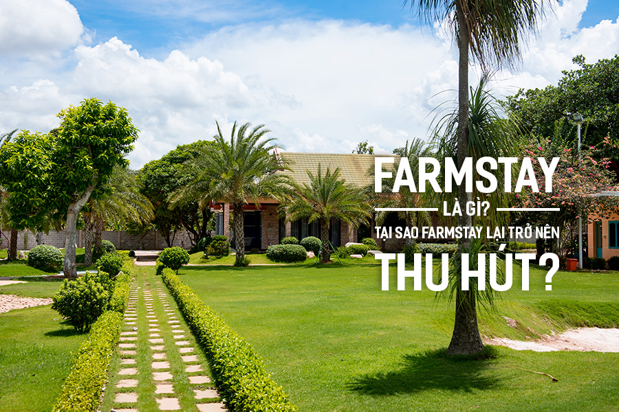 Farmstay nghỉ dưỡng: Trải nghiệm du lịch đa dạng trong một địa điểm
